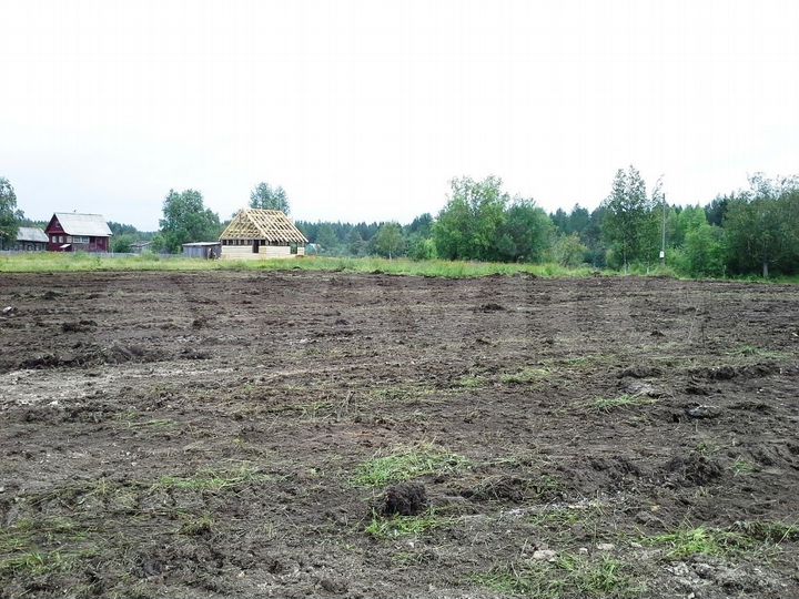 Участок 10 сот. (СНТ, ДНП)