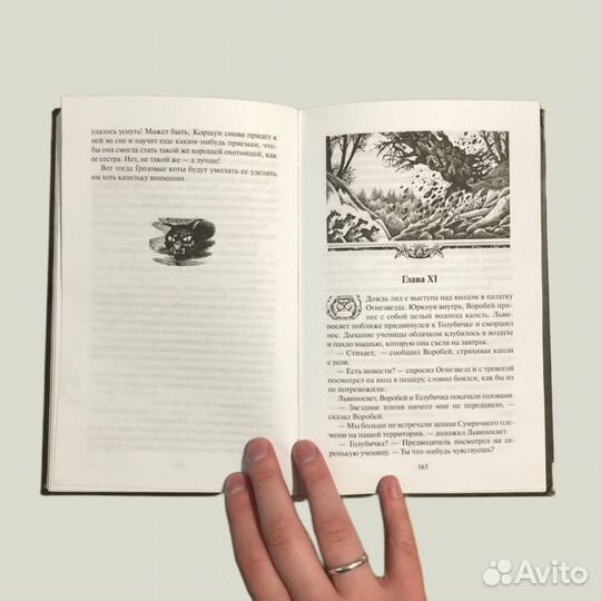 Коты Воители: Долгое Эхо