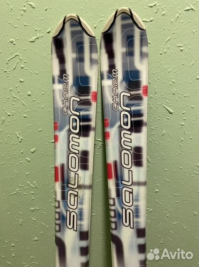 Горные лыжи