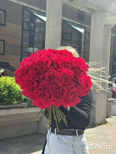 Роза малиновая французская