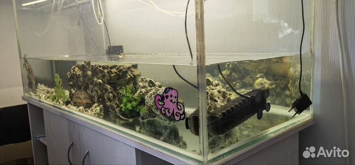Аквариум с черепашками