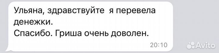 Репетитор по Английскому языку Онлайн