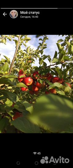 Разнорабочий