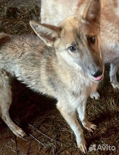 Осталась совсем одна