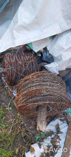 Колючая проволока