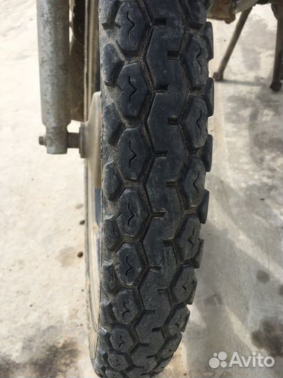 Продам вираго ирбис