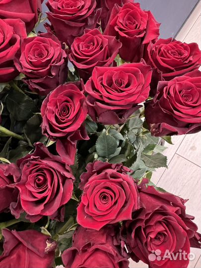 Роза красная Эквадор 70 см