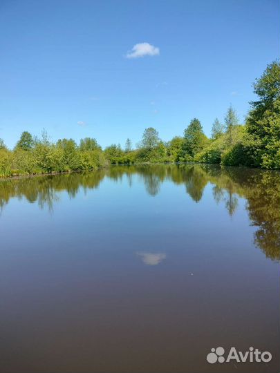 Прогулки на сапах /SUP досках по реке Сестре