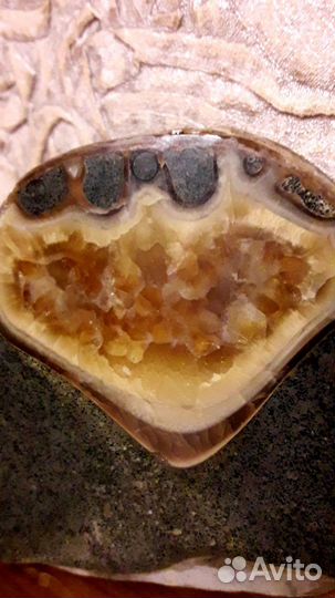 Минерал септария