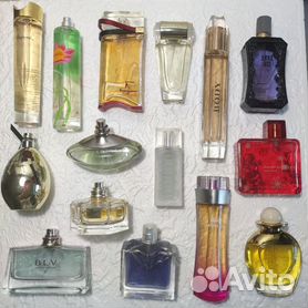 Perfume Beauty Brand Collection N.O B 043 Lucky Lady 80Ml – Vila Brasil  Marketplace