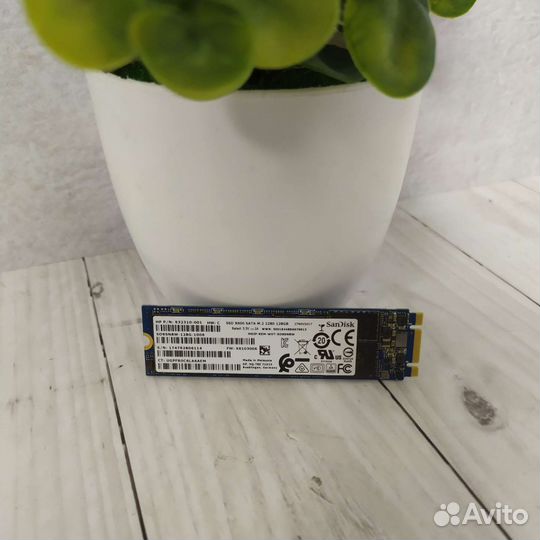 Ssd m2 128gb sandisk