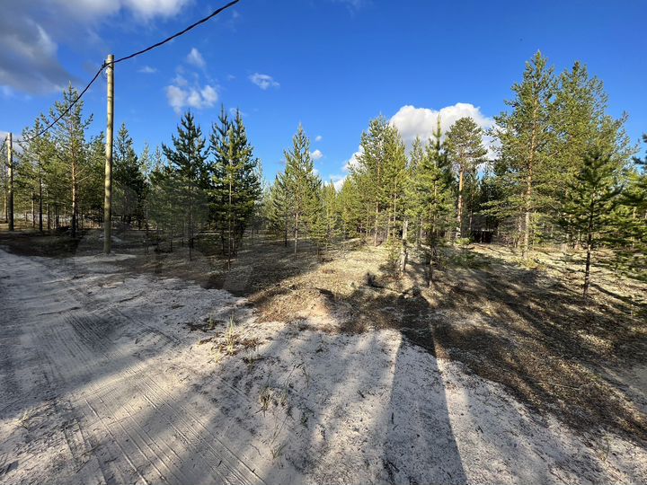 Участок 6 сот. (СНТ, ДНП)