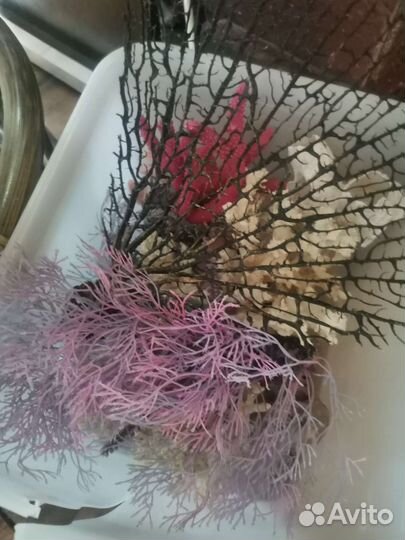 Аквариум 200 литров с тумбой