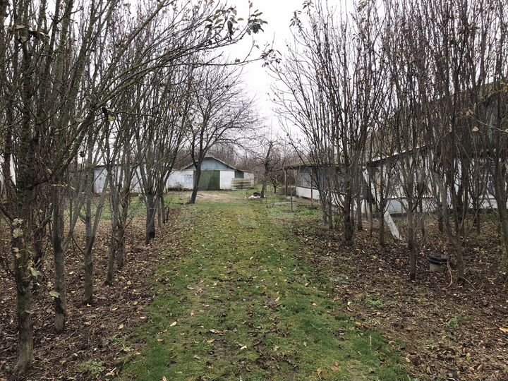 Дом 71,7 м² на участке 23,5 сот.