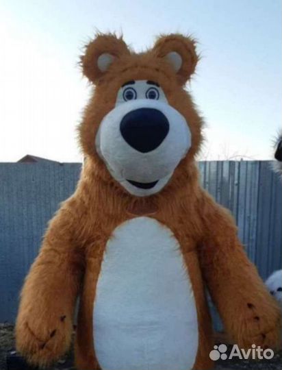 Экспресс-поздравление Белый мишка,Бурый