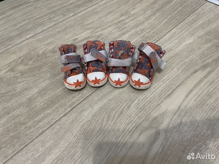 Обувь для маленьких собак