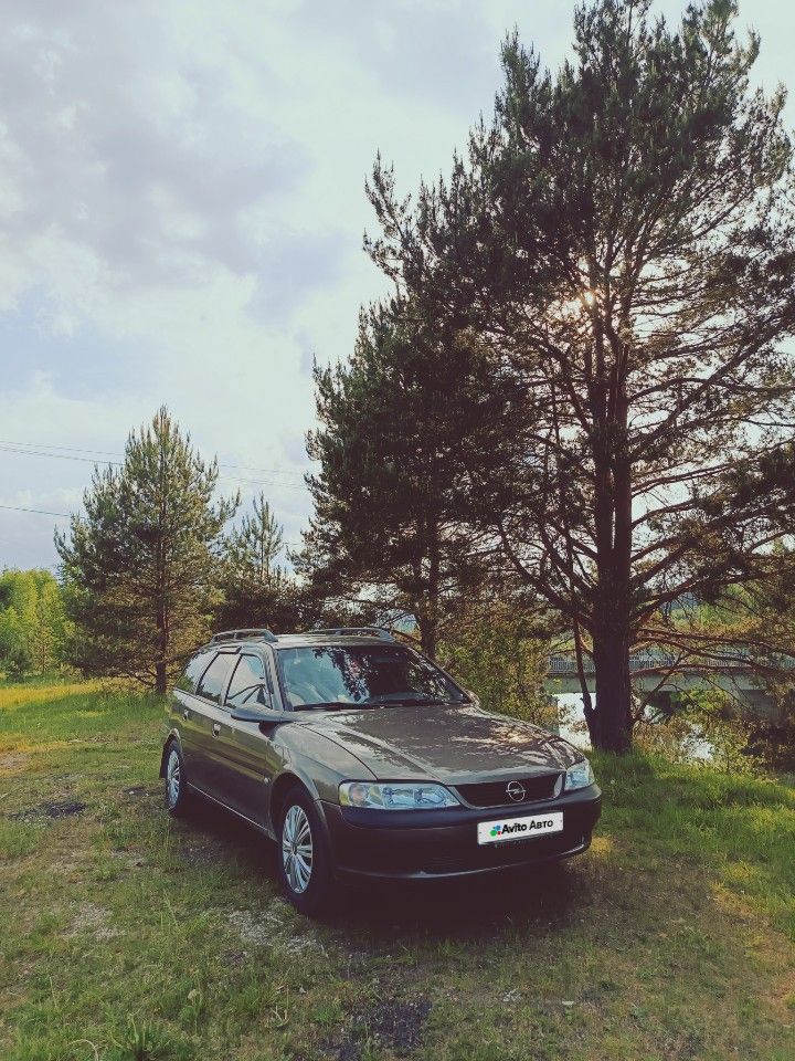 Opel Vectra: фото владельца