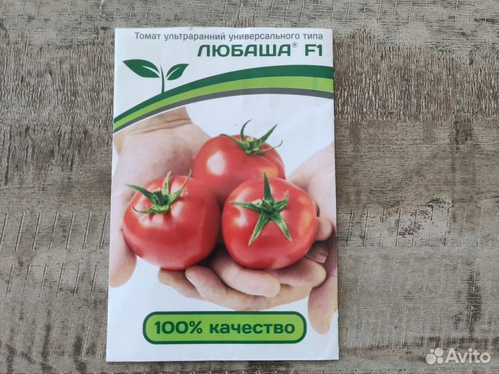 Рассада помидор