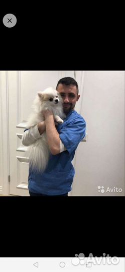 Ветеринарный врач на дом круглосуточно