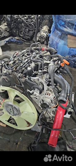 Двигатель Gazelle NN Volkswagen 2.0 TDI EA189