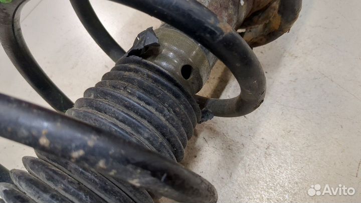 Амортизатор подвески Citroen Jumpy (Dispatch), 200