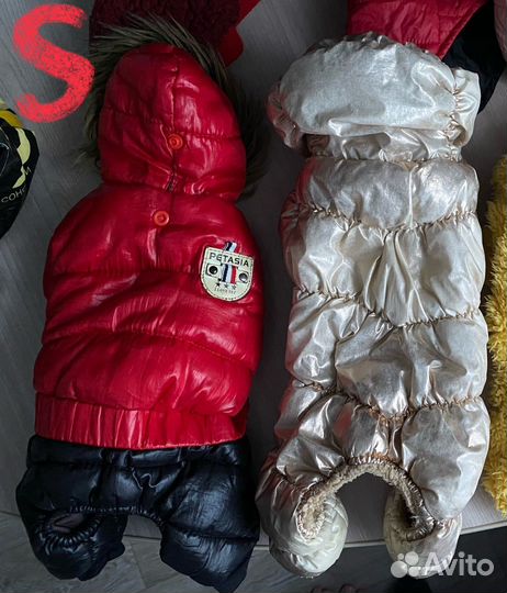 Вещи для маленьких собак