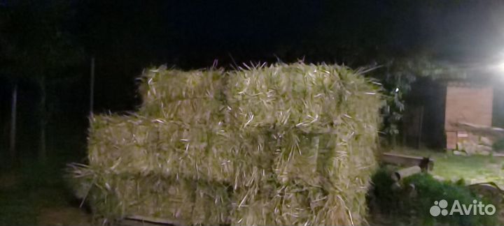Продам сено в тюках