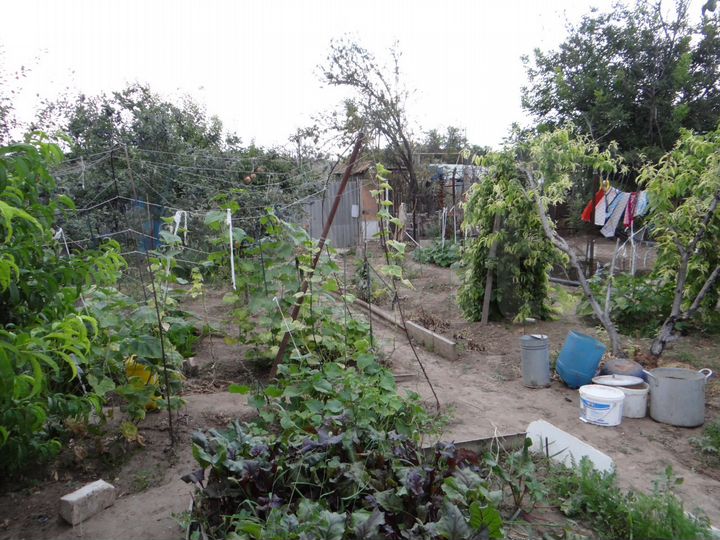 Дача 40 м² на участке 6 сот.