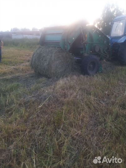 Сено в рулонах