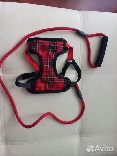 Шлейка для кота, для маленькой собаки