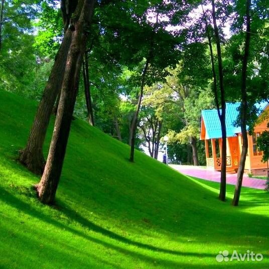 Газон дзо (для залужения откосов)