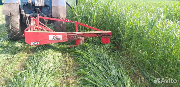 Суданская трава