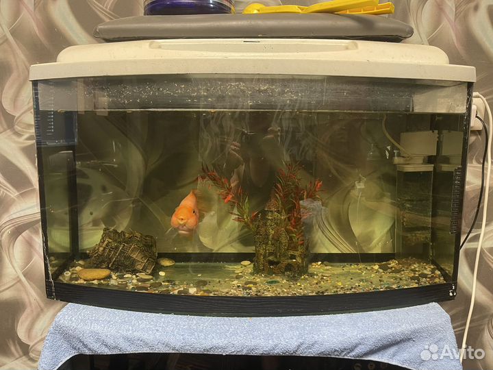 Аквариум на 150 литров