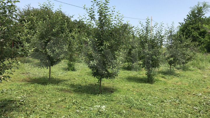 Участок 26 сот. (ИЖС)