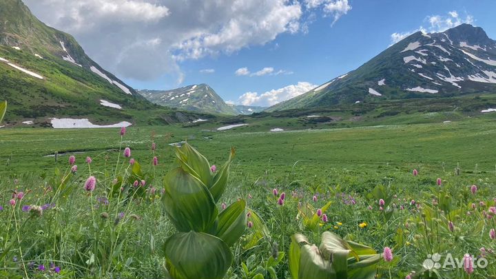 Походы в горах Сочи