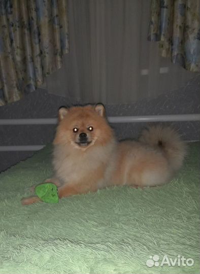 Молодой парень ищет девочку для знакомства