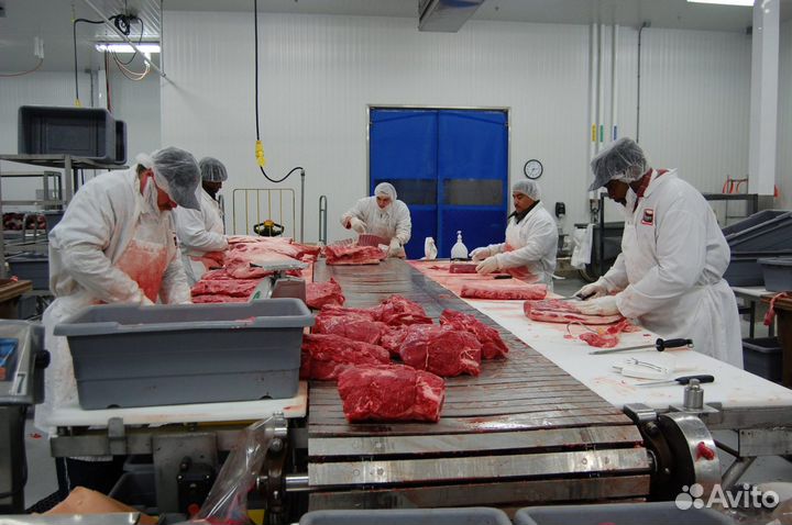 Разнорабочие от 2200 смена в Воронеж пит + прож