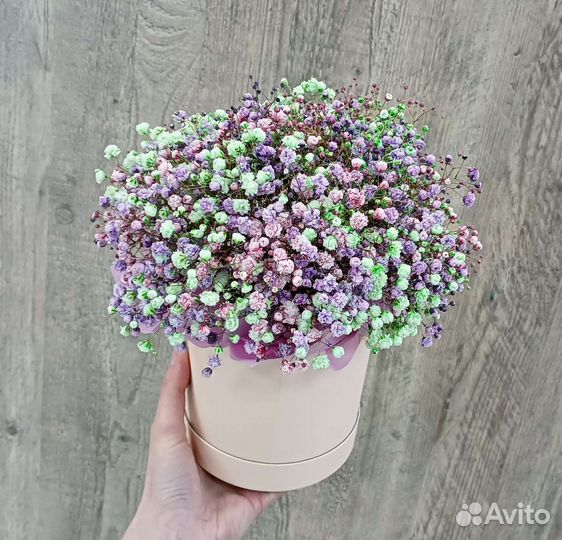 Цветы гипсофила