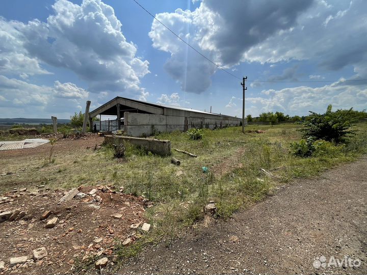 Птицеферма, гусная ферма