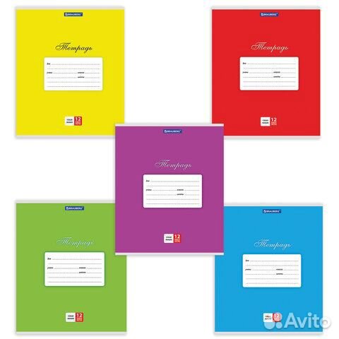 Тетрадь 12 л. узкая линия