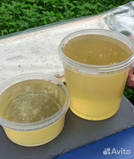 Мёд Белая Акация 2023