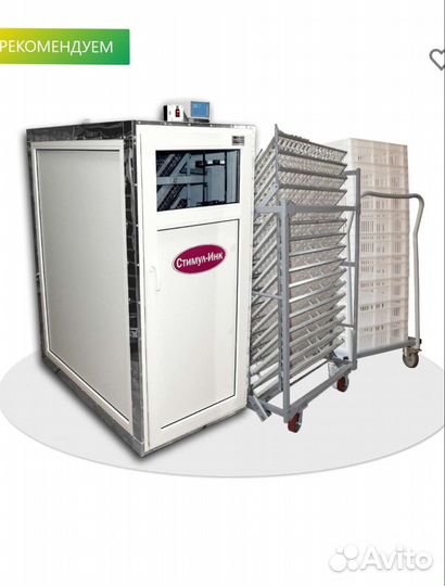 Инкубаторы стимул инк