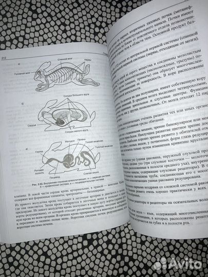 ЕГЭ по биологии. Практическая подготовка