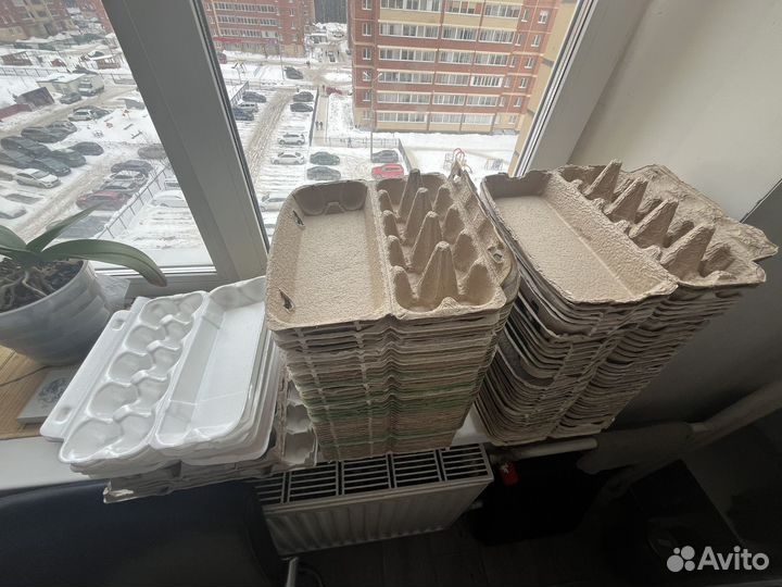 Контейнер для яйц