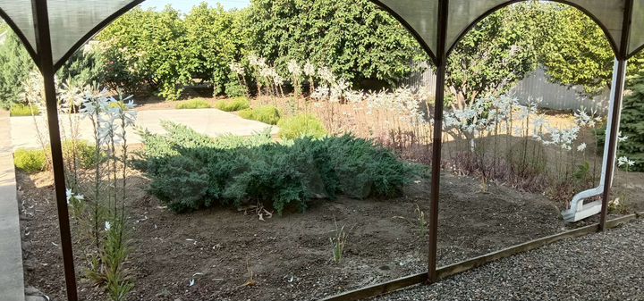 Дом 76 м² на участке 10 сот.