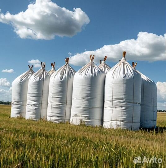 Биг Бэги мкр новые