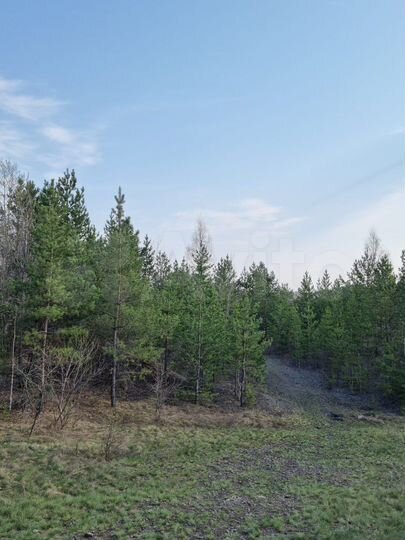 Участок 6 сот. (ИЖС)