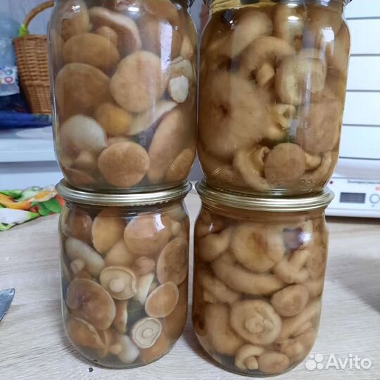 Маринованные опята, рыжики, подбер-ки, волнушки