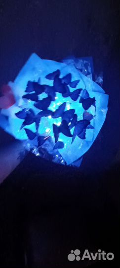 Букет из бабочек