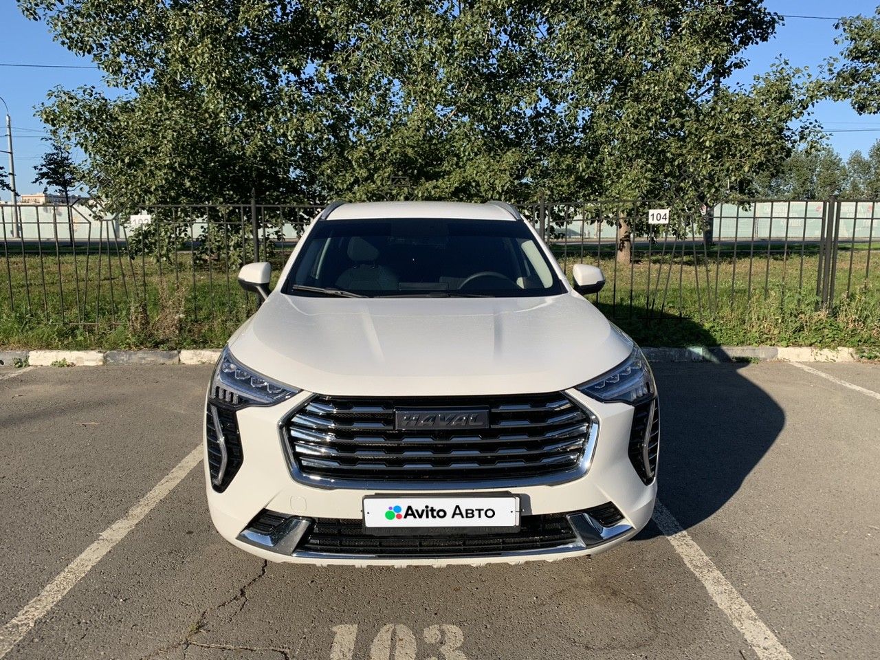 HAVAL Jolion: фото владельца